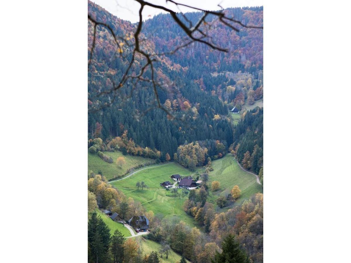 Berghotel Und Restaurant Kraeuter Chalet Furtwangen Dış mekan fotoğraf